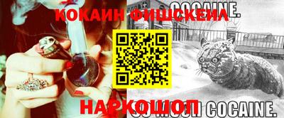 стафф Кингисепп