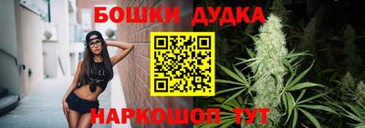 стафф Кингисепп