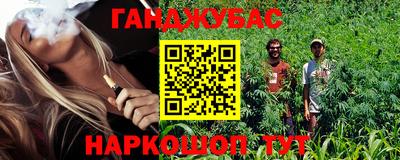 стафф Кингисепп