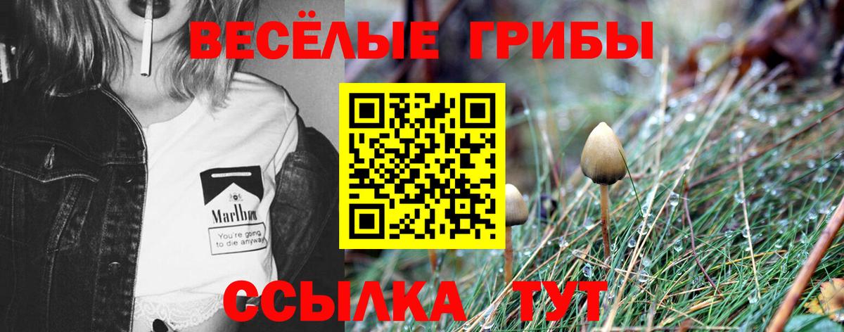 Кулебаки  Псилоцибиновые грибы мицелий  Галлюциногенные грибы прущие грибы  купить наркотик  Вход с VPN 