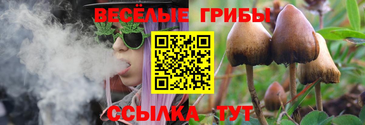 Псилоцибиновые грибы Psilocybine cubensis Кулебаки