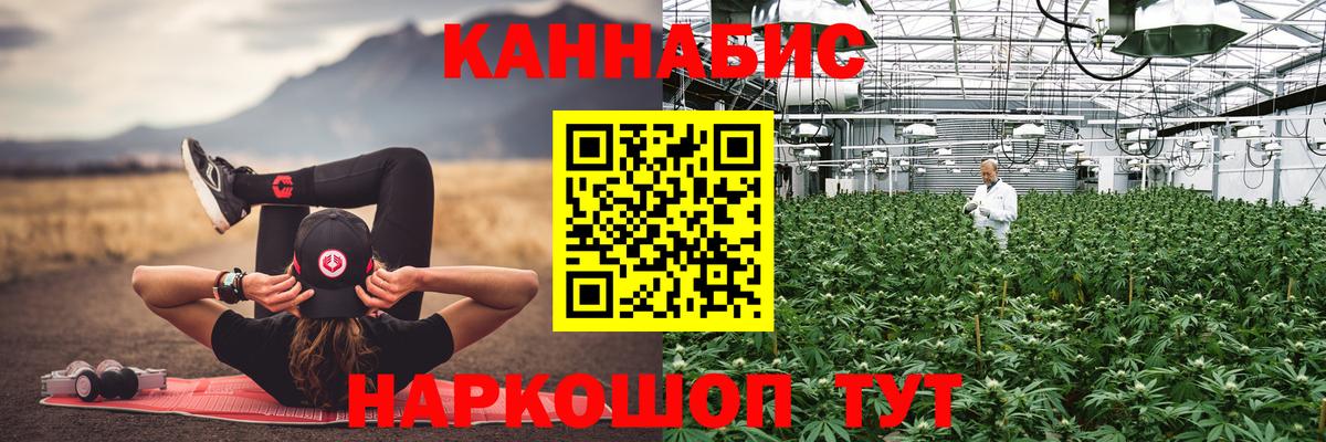 Кулебаки  Бошки марихуана семена  Бошки марихуана OG Kush  Канабис AK-47  Вход с VPN 